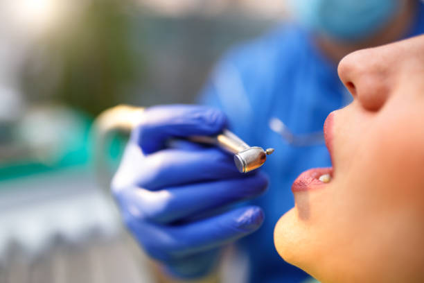 Trusted Tower City, PA  Holistic Dental Services Experts